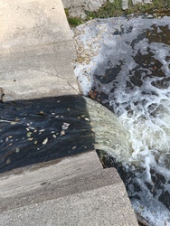 Tarna északi zúgója