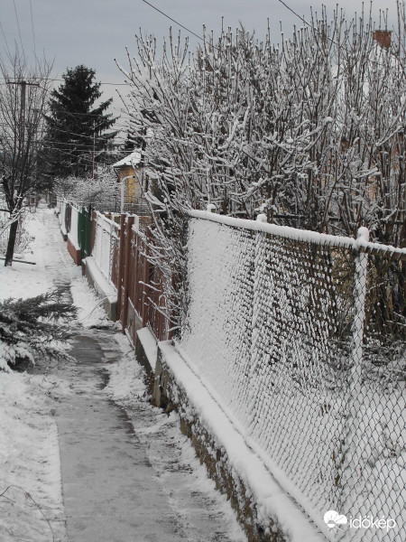Tapadó hó a szomszéd kerítésén, s a orgonabokron