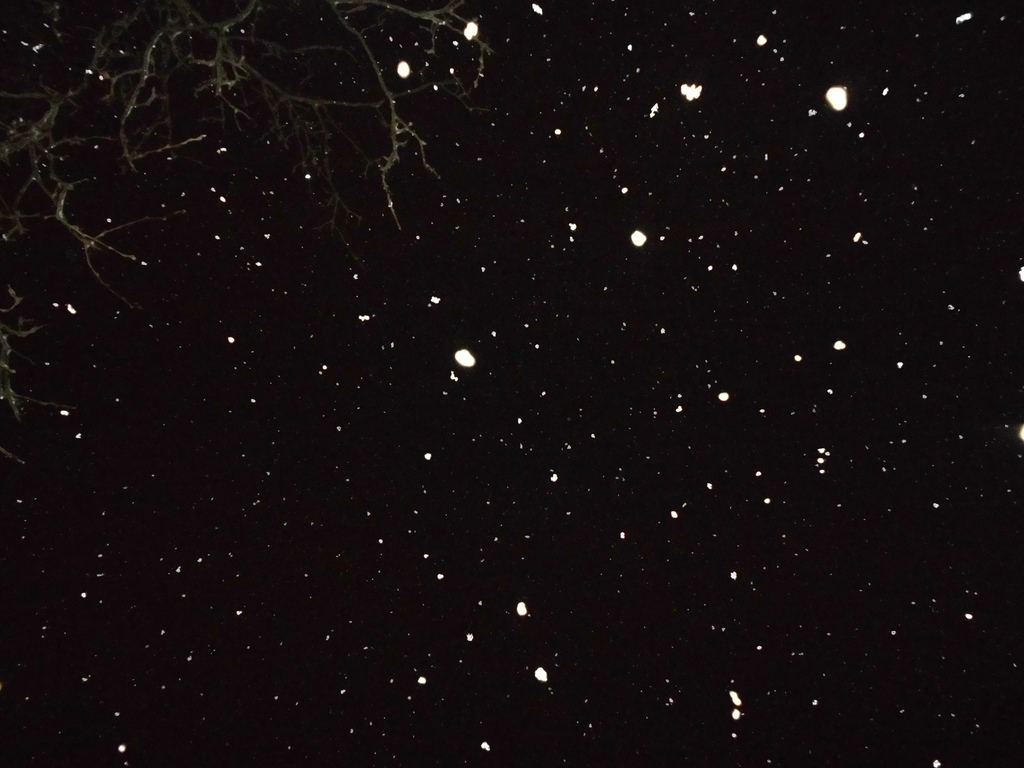 Februári hóhullás