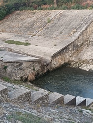 Kiszáradó Tarna