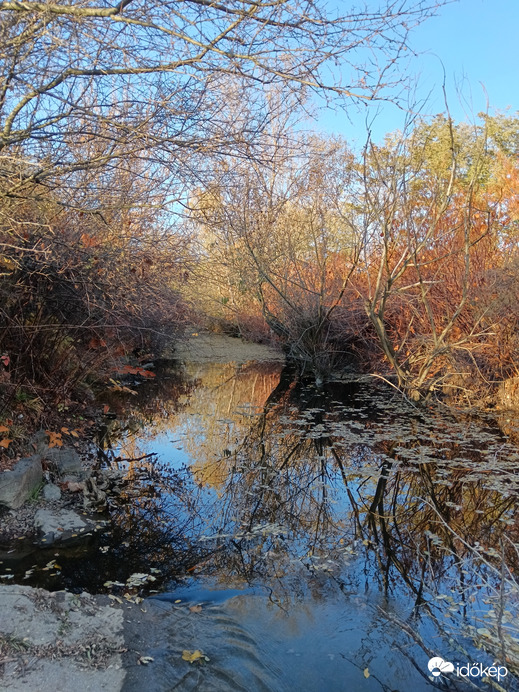 Őszi lombos Tarna az északi zúgónál