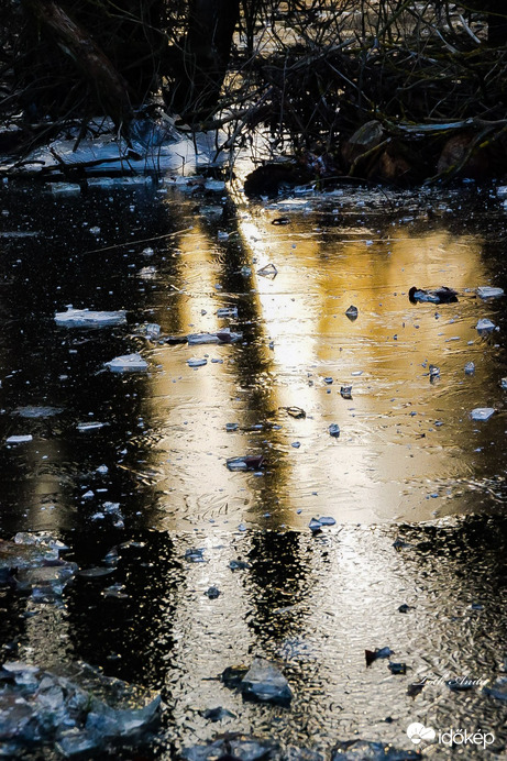 Hódmezővásárhely