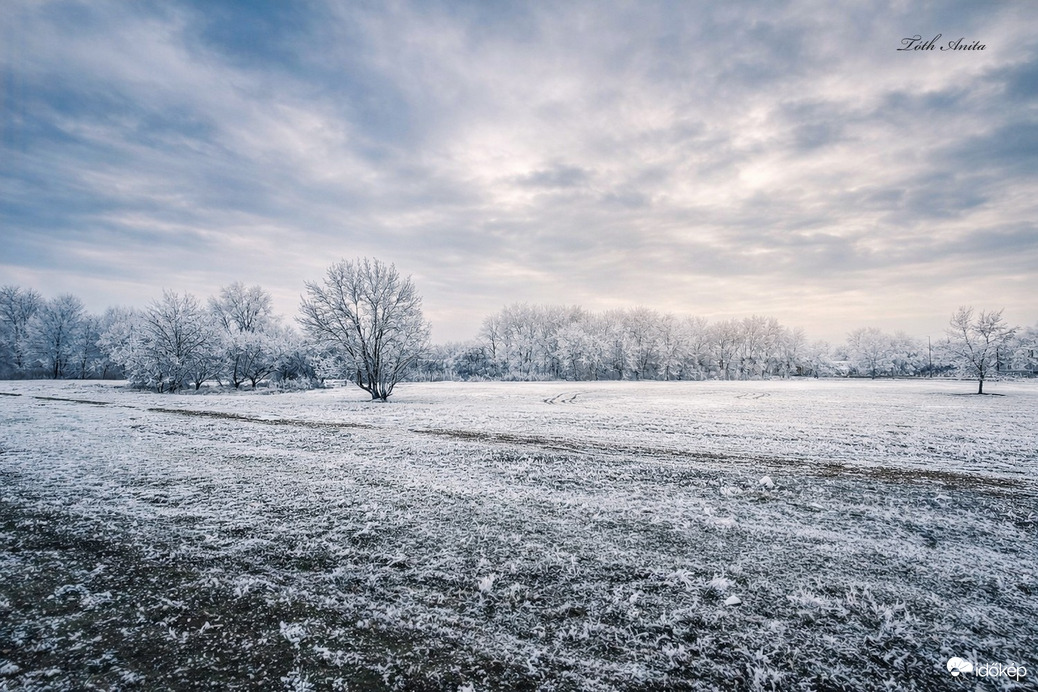 Hódmezővásárhely