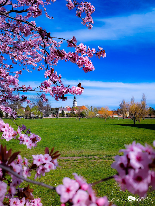 Hódmezővásárhely