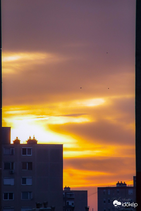 Hódmezővásárhely