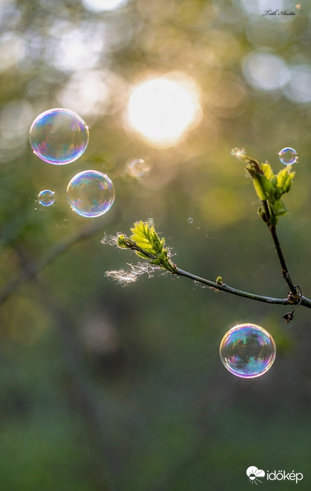 Hódmezővásárhely