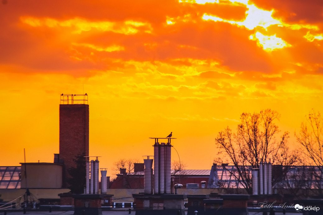 Hódmezővásárhely