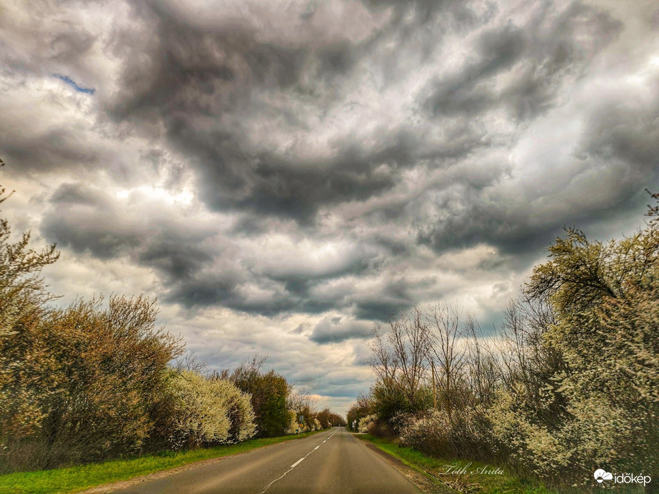 Hódmezővásárhely