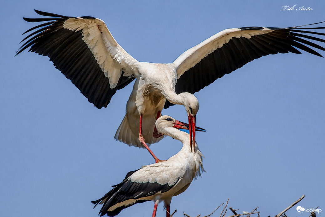 Hódmezővásárhely