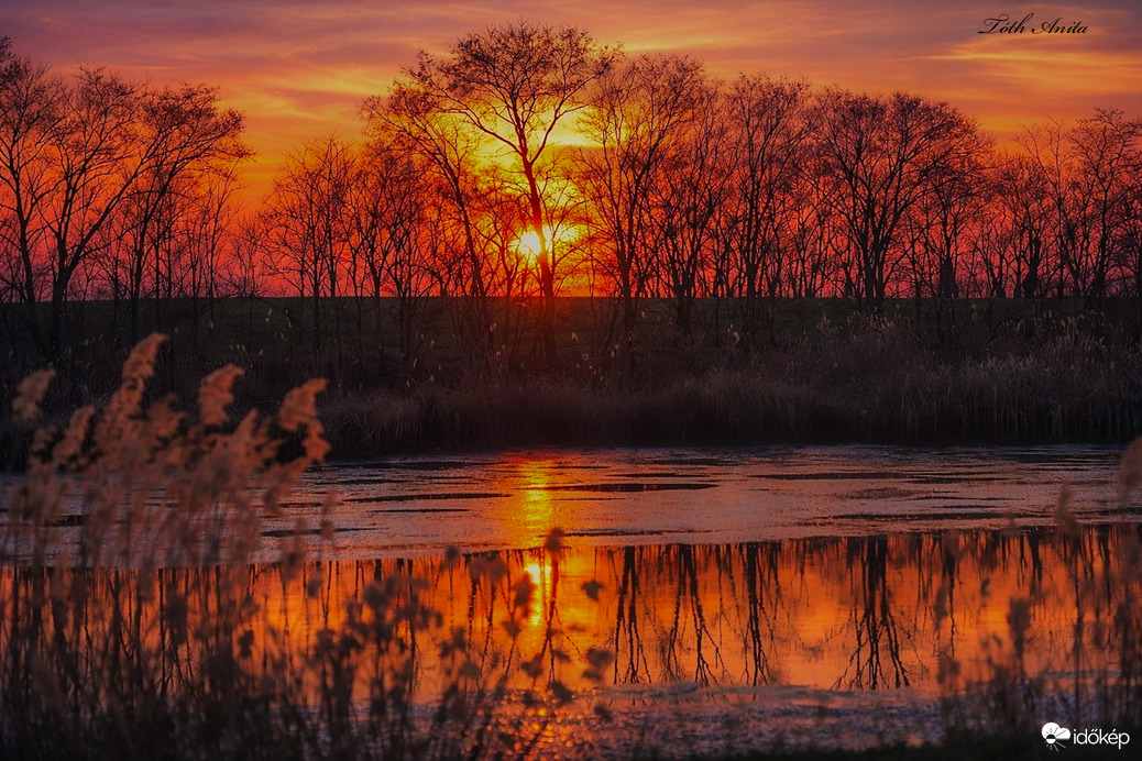 Tavasz arany köntösben 