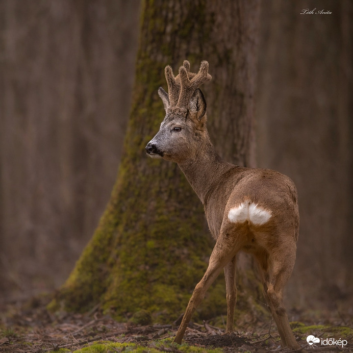 Ha halkan jársz csodát látsz!