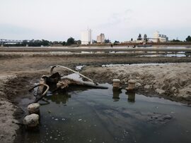 A Liget elsüllyedt gőzhajó orr-része a Dunában