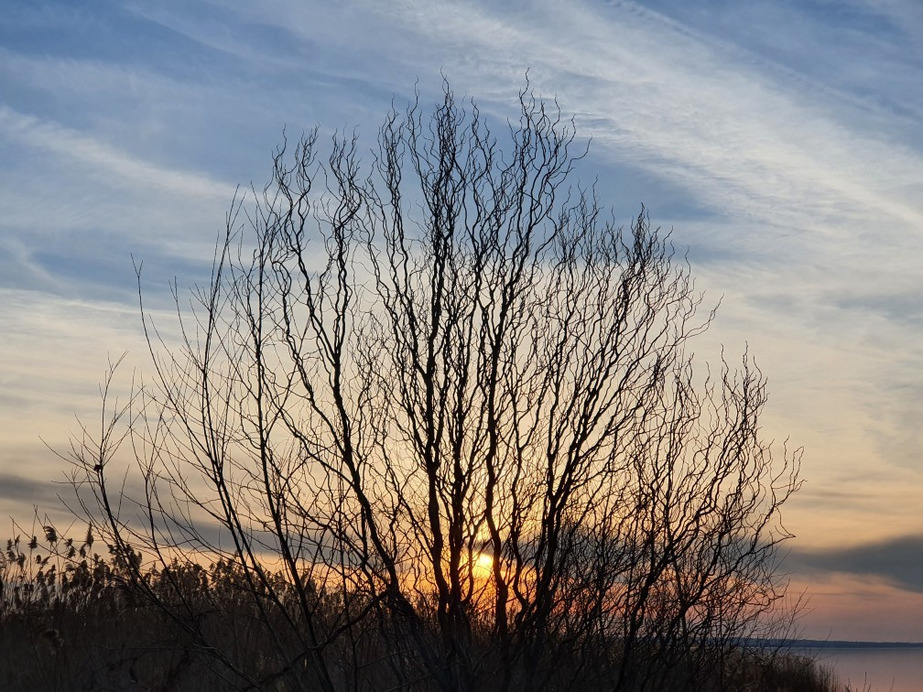 Balatonfenyves