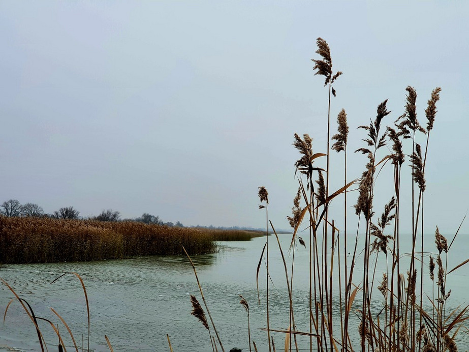 Balatonfenyves
