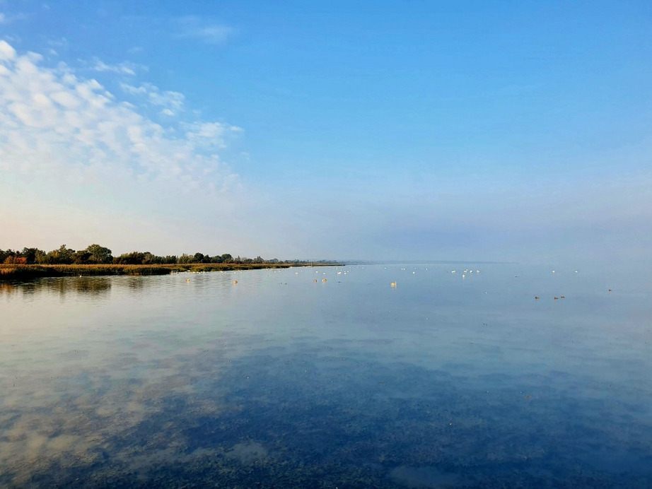 Balatonfenyves