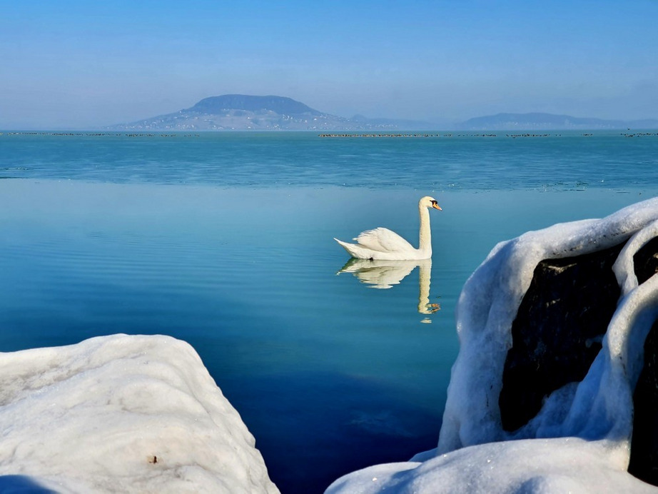 Balatonfenyves