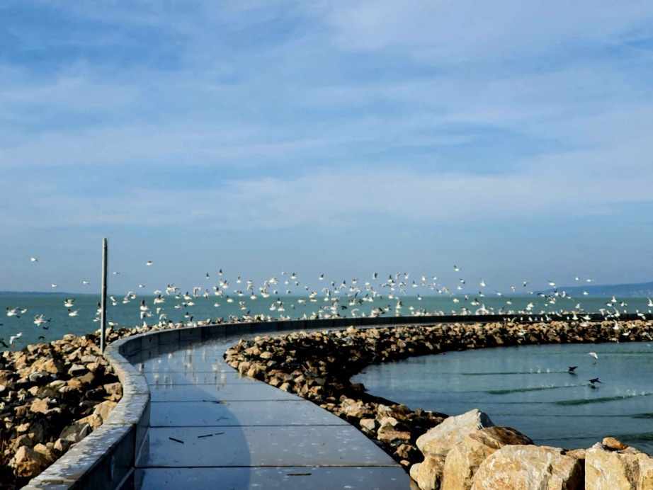 Balatonfenyves