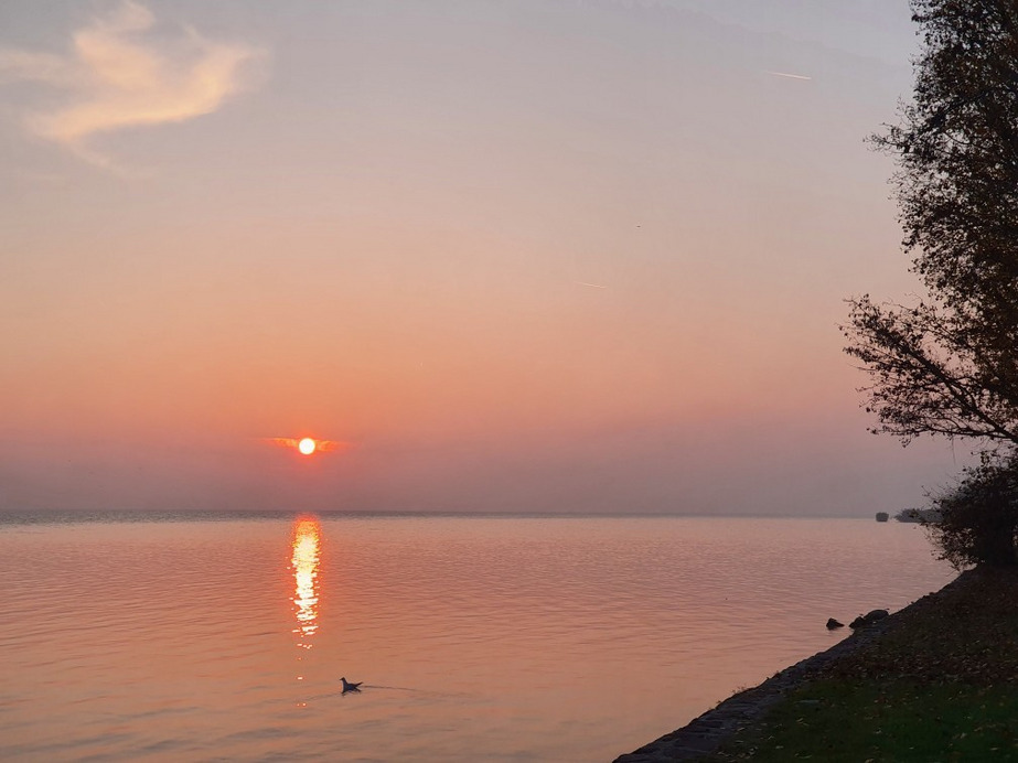 Tihany