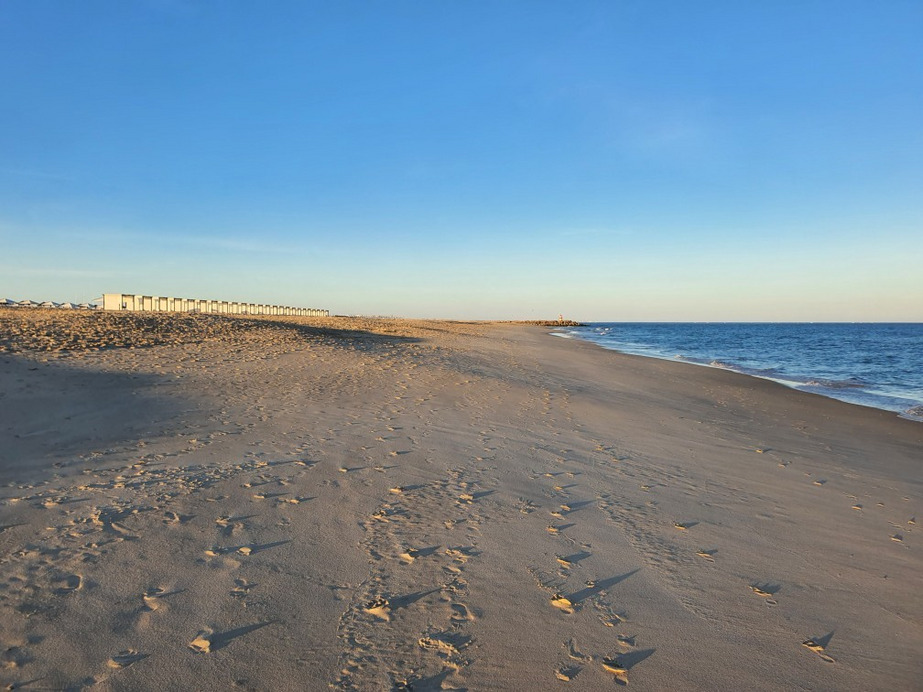 Tavira