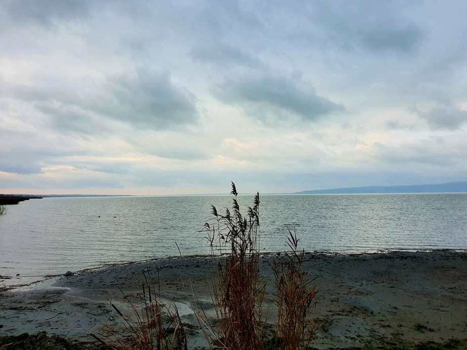 Balatonfenyves