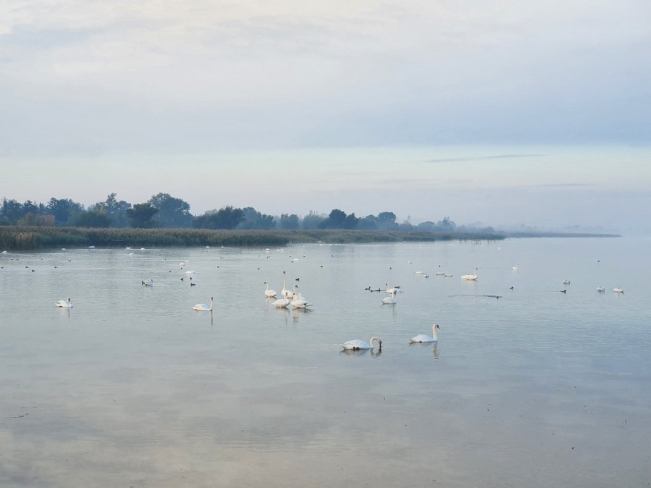 Balatonfenyves