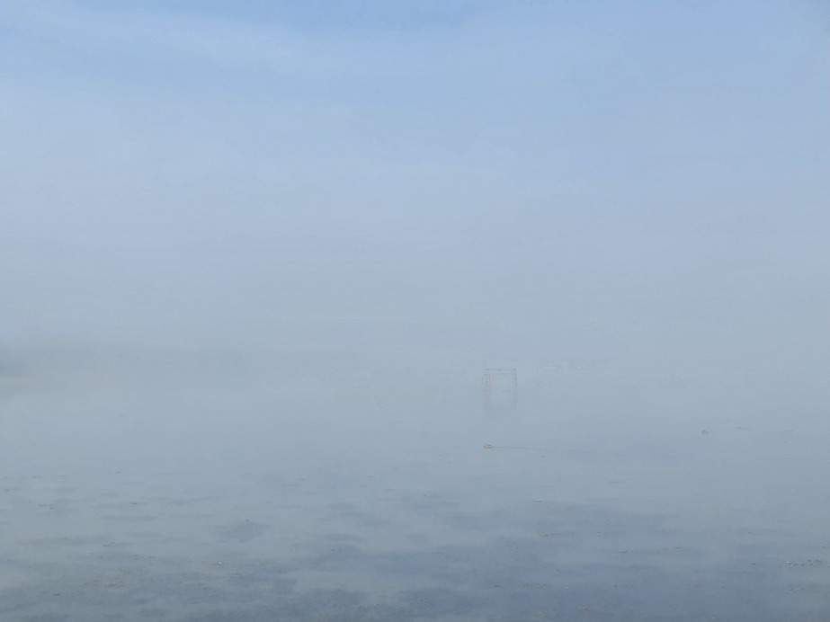 Balatonfenyves