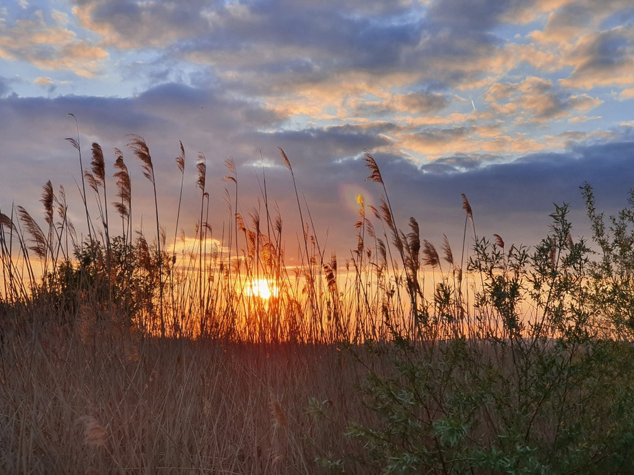 Balatonfenyves