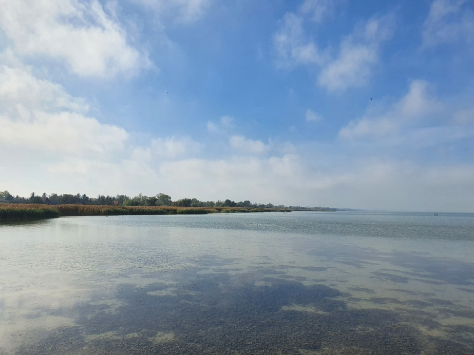 Balatonfenyves
