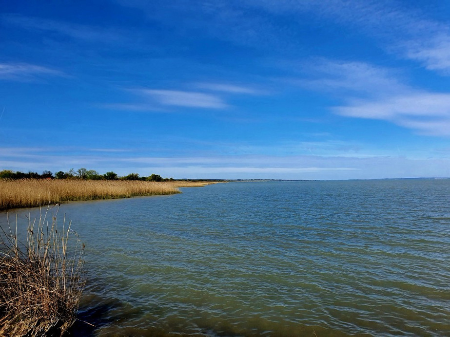 Balatonfenyves
