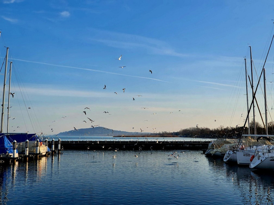 Balatonfenyves