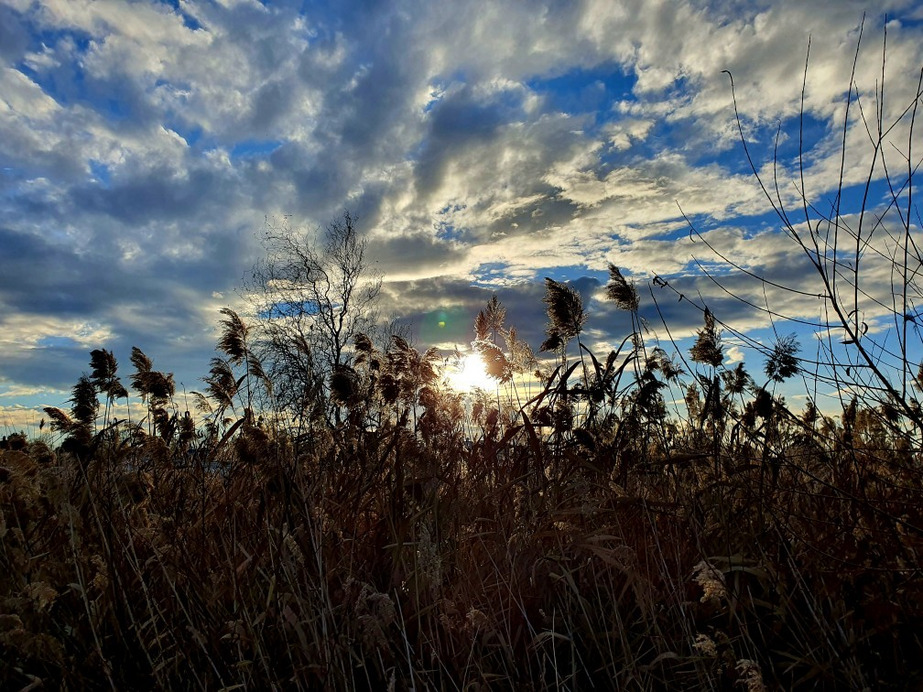Balatonfenyves