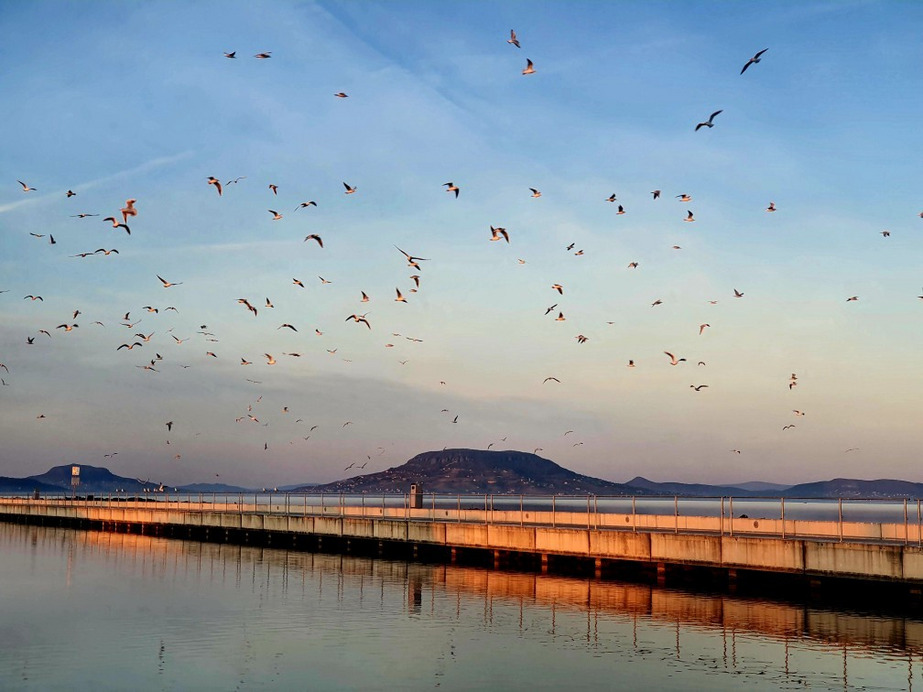 Balatonfenyves