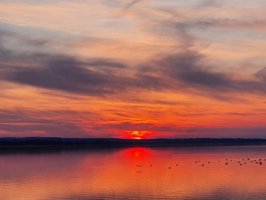 Balatonfenyves