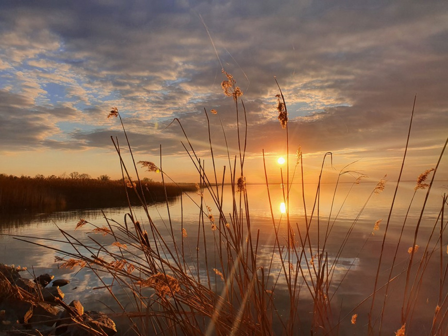 Balatonfenyves