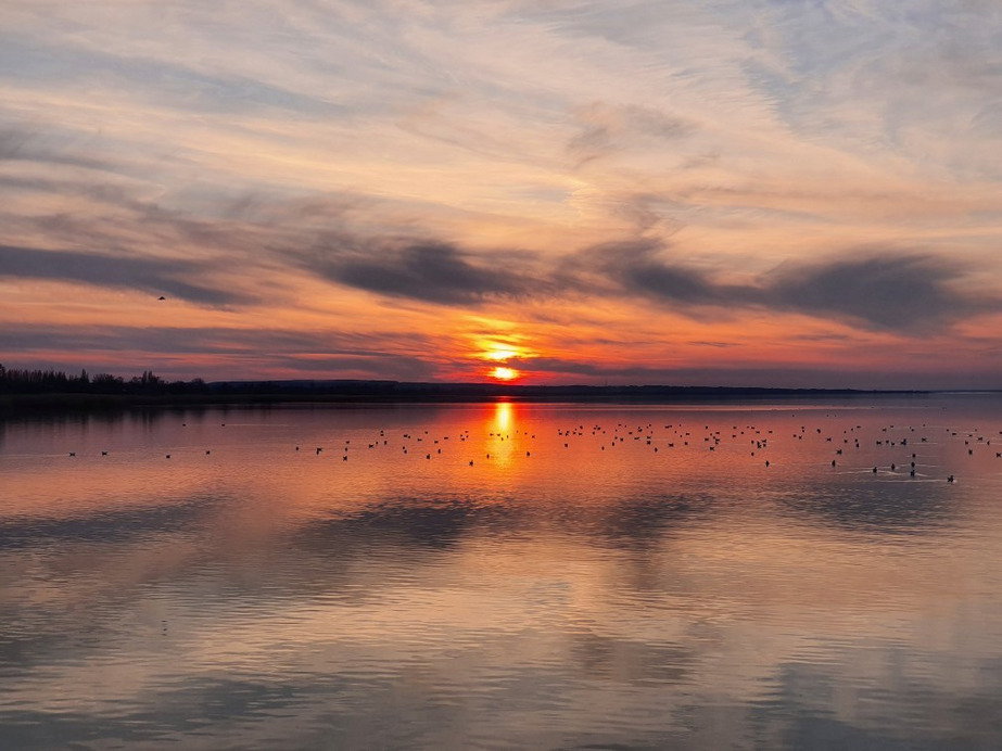 Balatonfenyves
