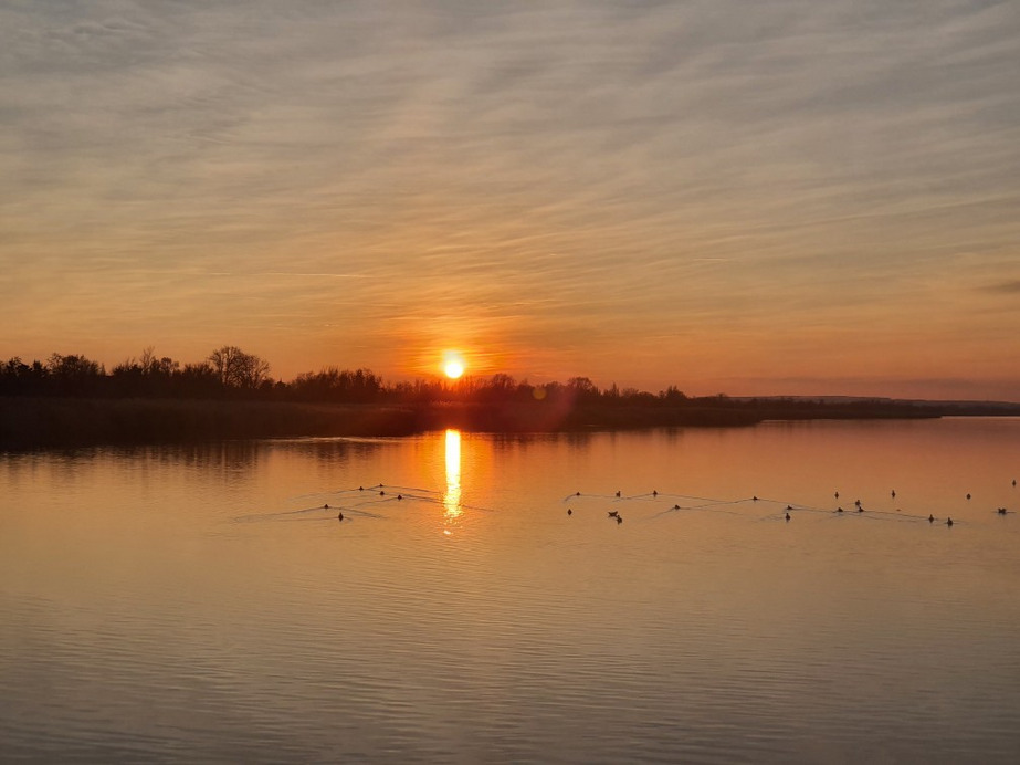 Balatonfenyves