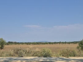 Tiszabecs