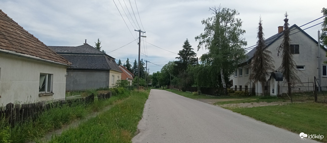 Csatka