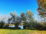Délegyháza