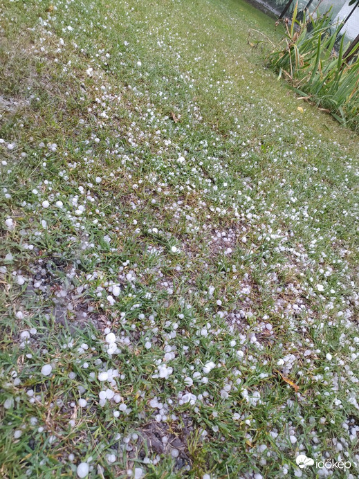 Tiszaalpár