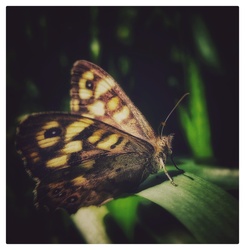 Napsütéses pihenő 