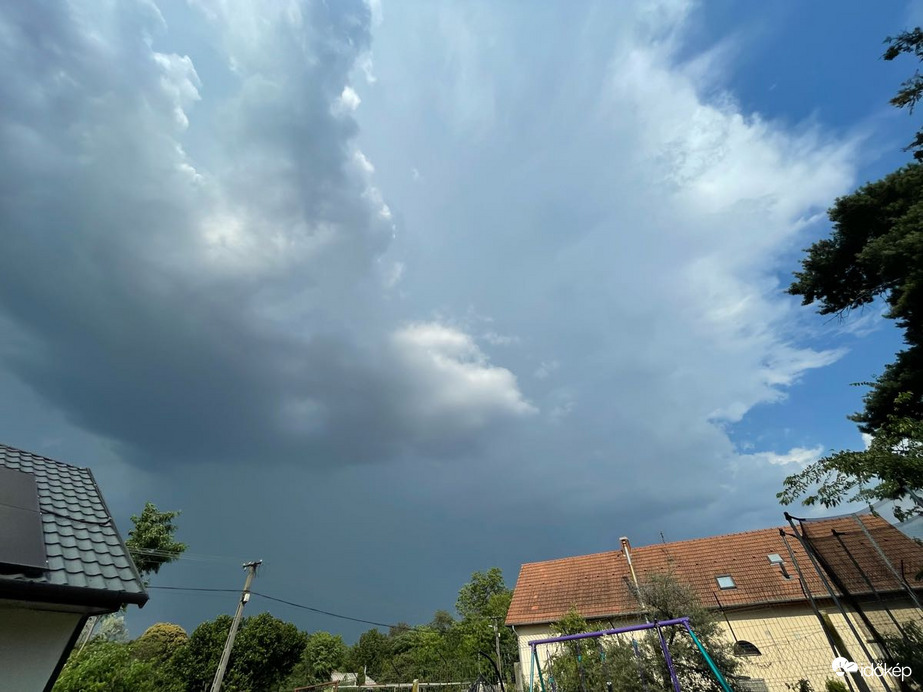 Monorierdő