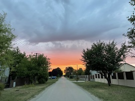Monorierdő naplemente