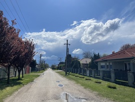 Monorierdő