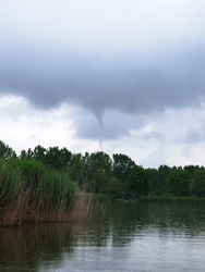 Tuba a pélpusztai halastavaknál