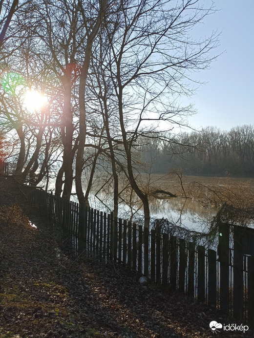 Timár