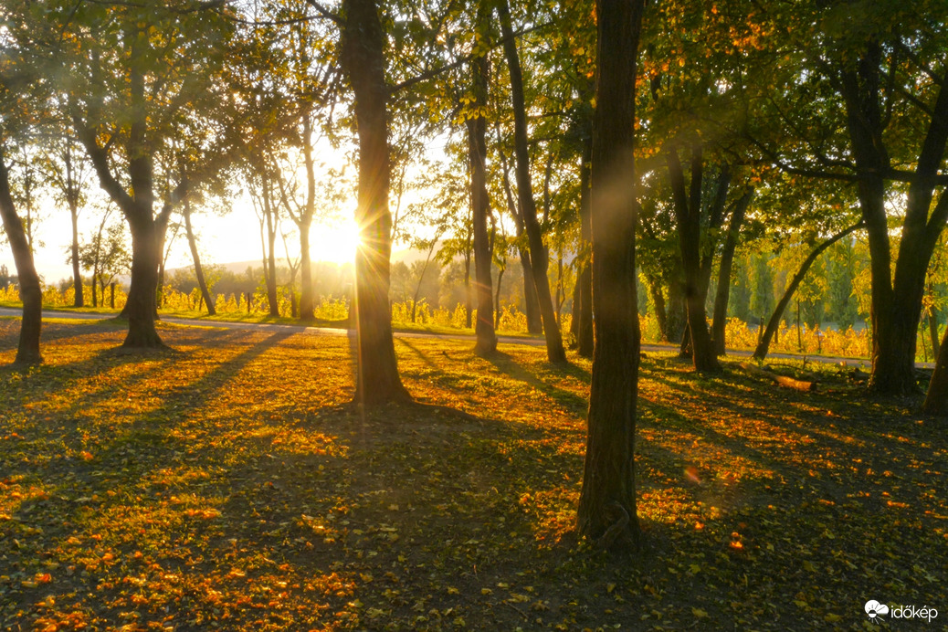 Naplemente előtti, csodás őszi fények...