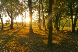 Naplemente előtti, csodás őszi fények...