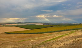 Bérbaltavár