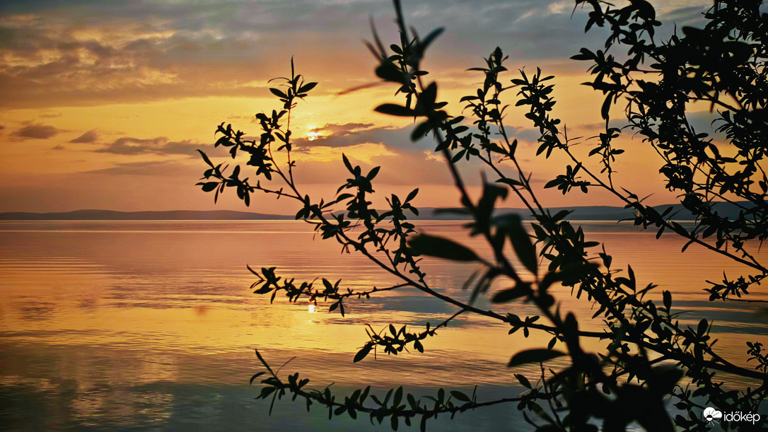 Mielőtt elköszönt... 